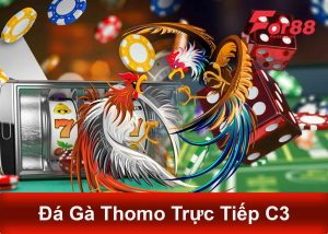 Đá gà thomo trực tiếp c3